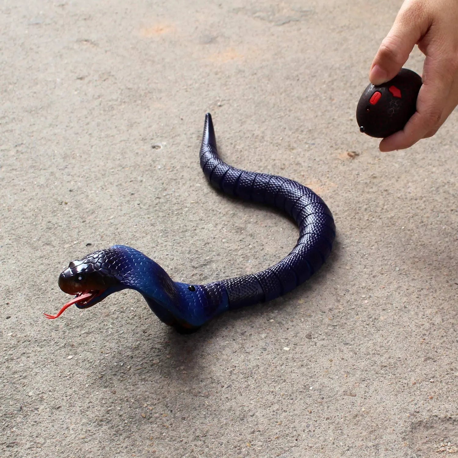 RC Snake