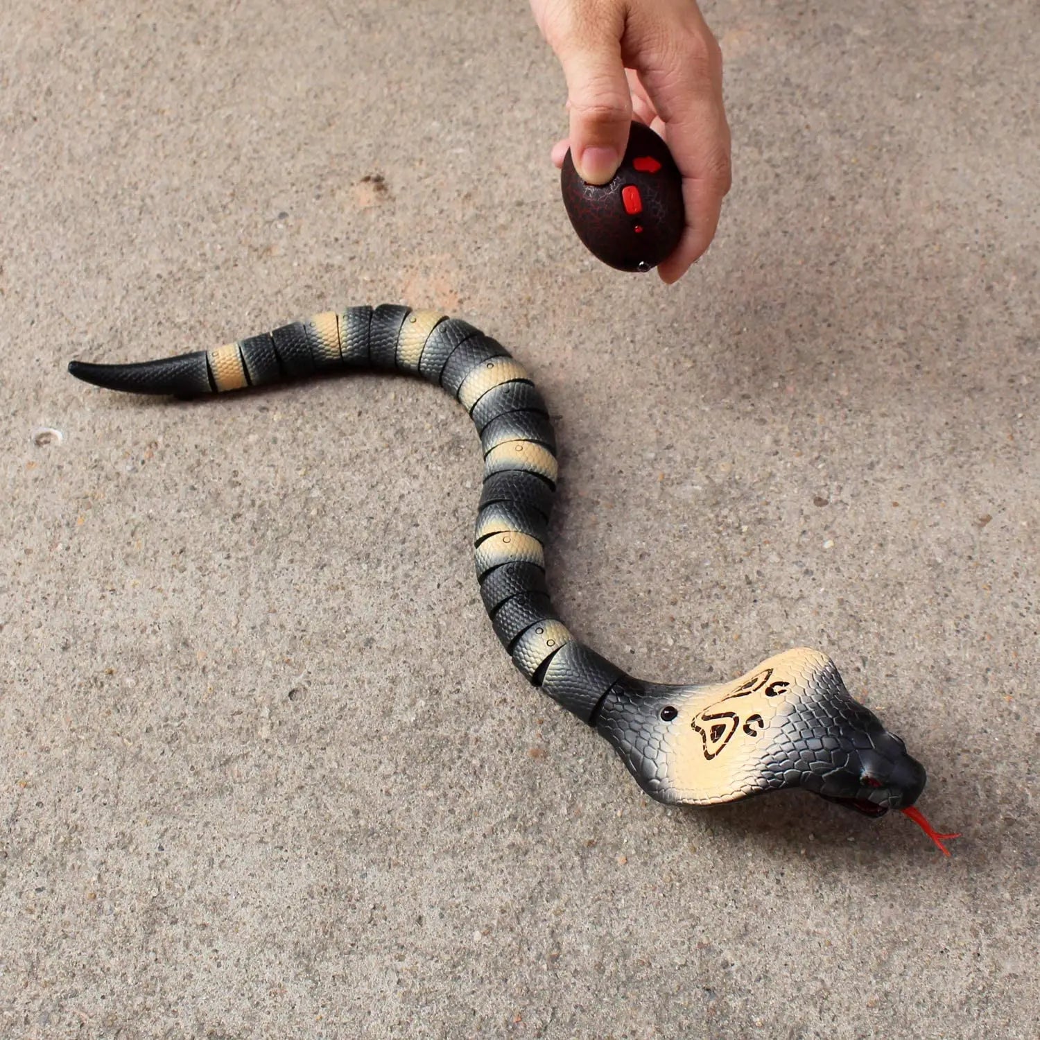 RC Snake