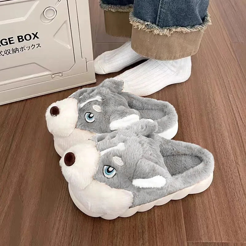 Dog shoes