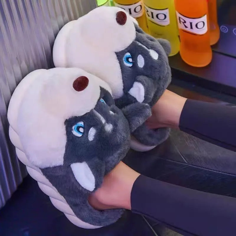 Dog shoes